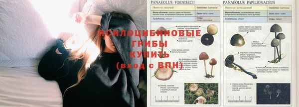 марки nbome Пересвет