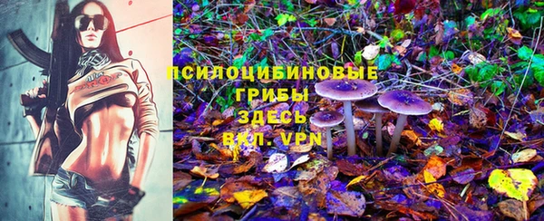 марки nbome Пересвет