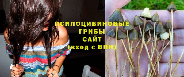 соль ск Болотное