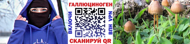 хочу   Аргун  Галлюциногенные грибы ЛСД 