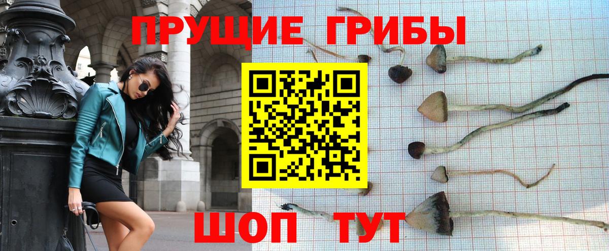Аргун  Галлюциногенные грибы мухоморы  Вход с VPN  Галлюциногенные грибы Cubensis 