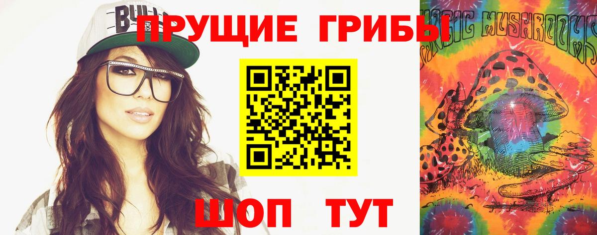 Псилоцибиновые грибы Cubensis  даркнет сайт  Аргун 